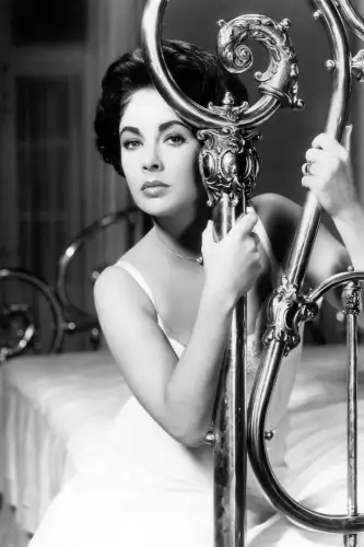 MondiLab Elisabeth Taylor in tin roof  (100047)