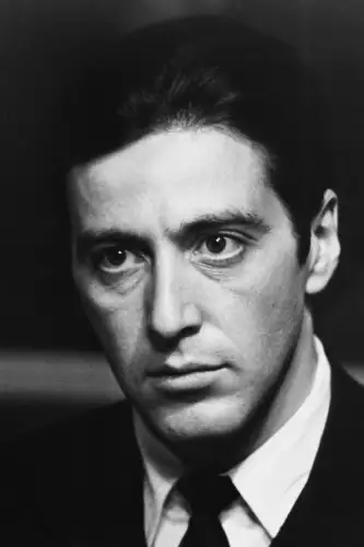 MondiLab Al Pacino face  (100105)