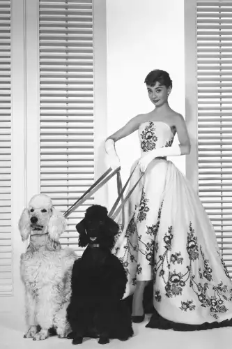 MondiLab Audrey Hepburn dogs  (100107)