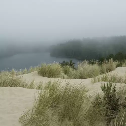 MondiLab Dunes Fog (100338)