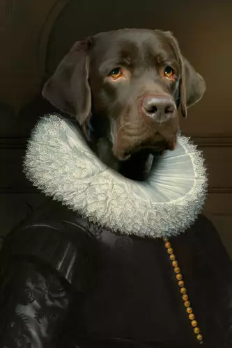 MondiLab Royal Labrador  (101600)