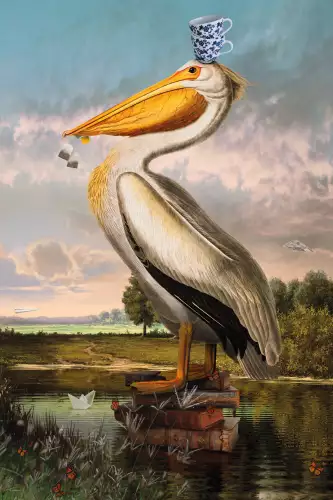 MondiLab American white pelican  (102037)