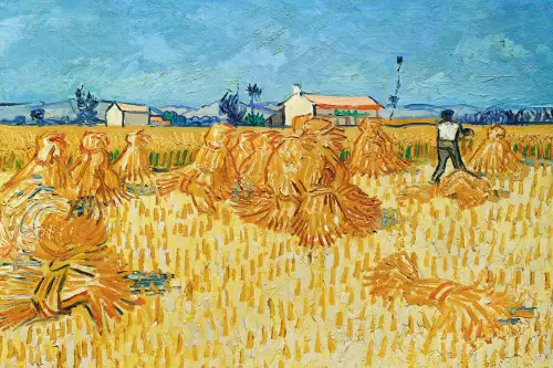 MondiLab Harvest in provence  (102896)