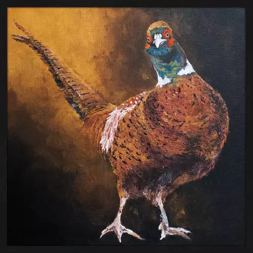 MondiLab Feasty Pheasant + Frame 4050 black (103757)